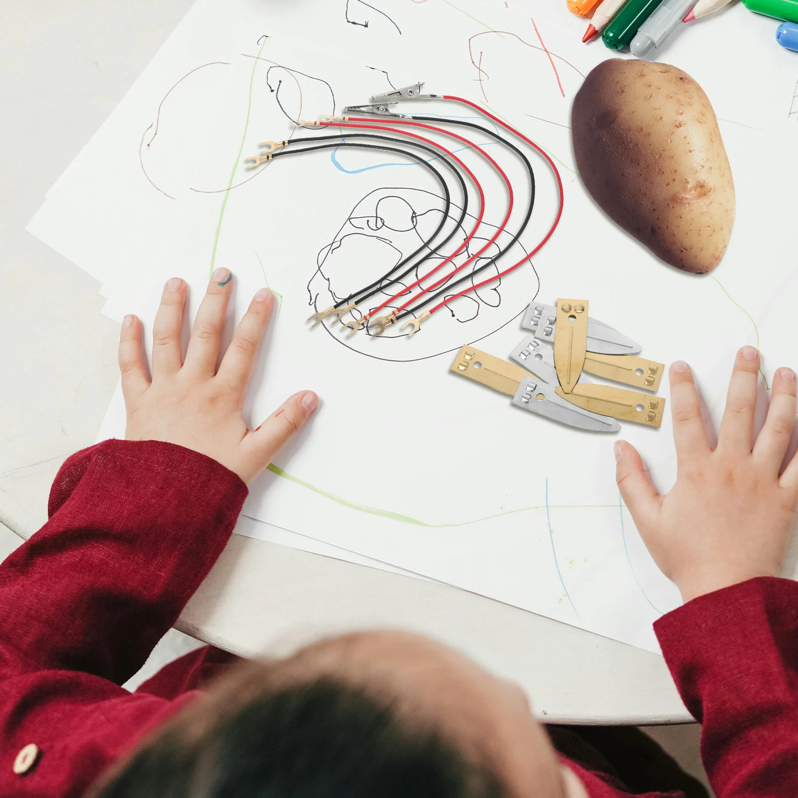 Fruit Science Kit LED DIY Kinder Heimlehrmittel Studenten Schule Projekt Energieumwandlung Erkundung
