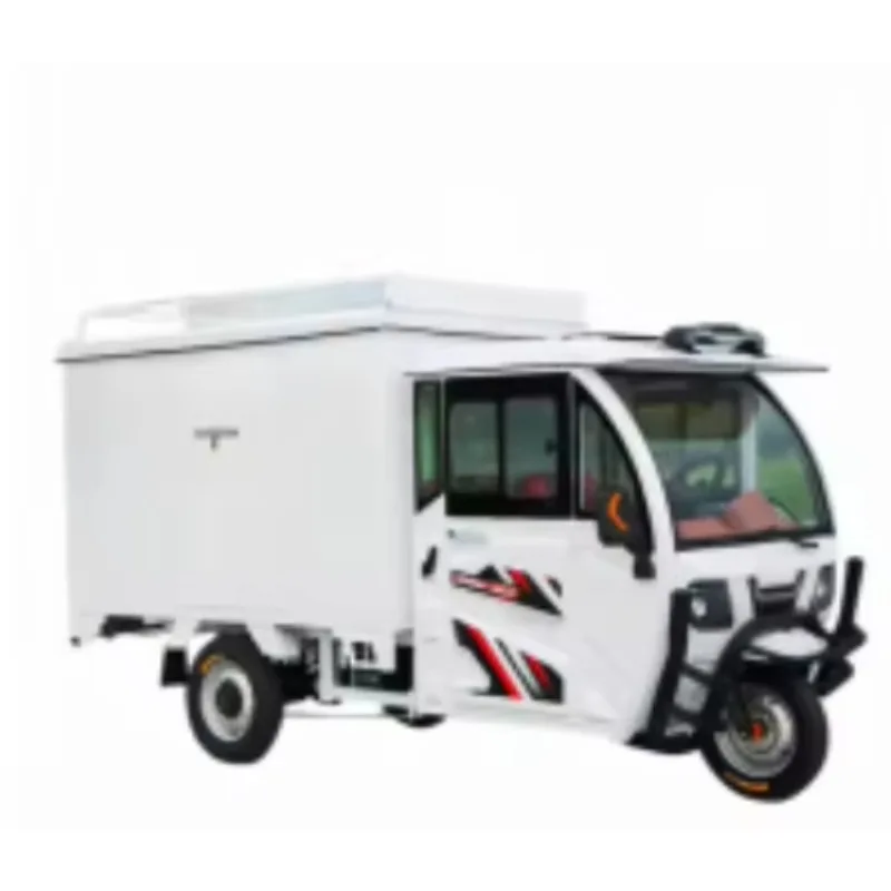 New Arrival High Performance Fuel Powered Tricycle for Commercial and Personal Transport