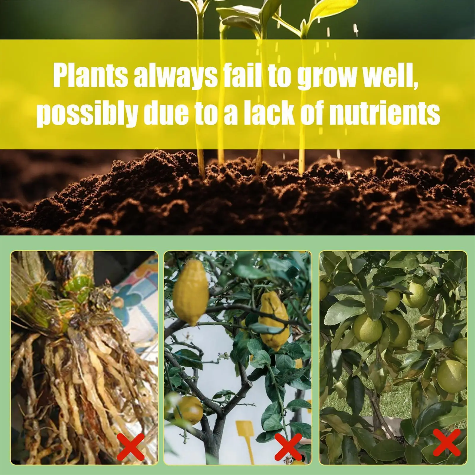 Concentrated Lemon Tree Nutrient Spray Liquid Fertilizer maintenance for Citrus Rooted green leaves concentrated fertilizer