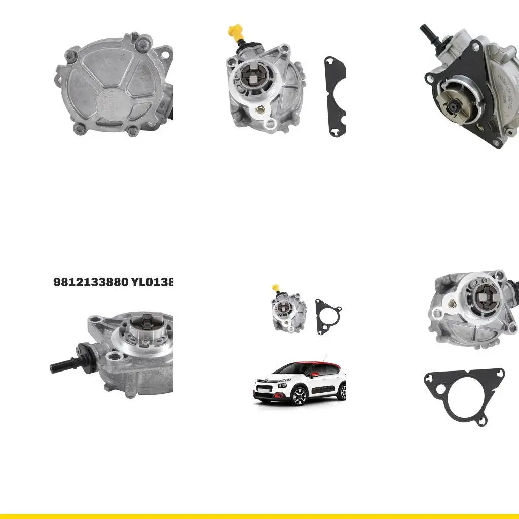 

SZCH 9812133880 YL01385880 9835356980 для 2008 г. 208 Партнерская тормозная система вакуумной насос