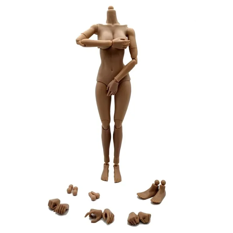 Colección de juguetes corporales femeninos a escala 1/6, piel de trigo, pecho grande postizo, figura de acción de 12 pulgadas, muñeca de arte de pintura, regalo de 27cm