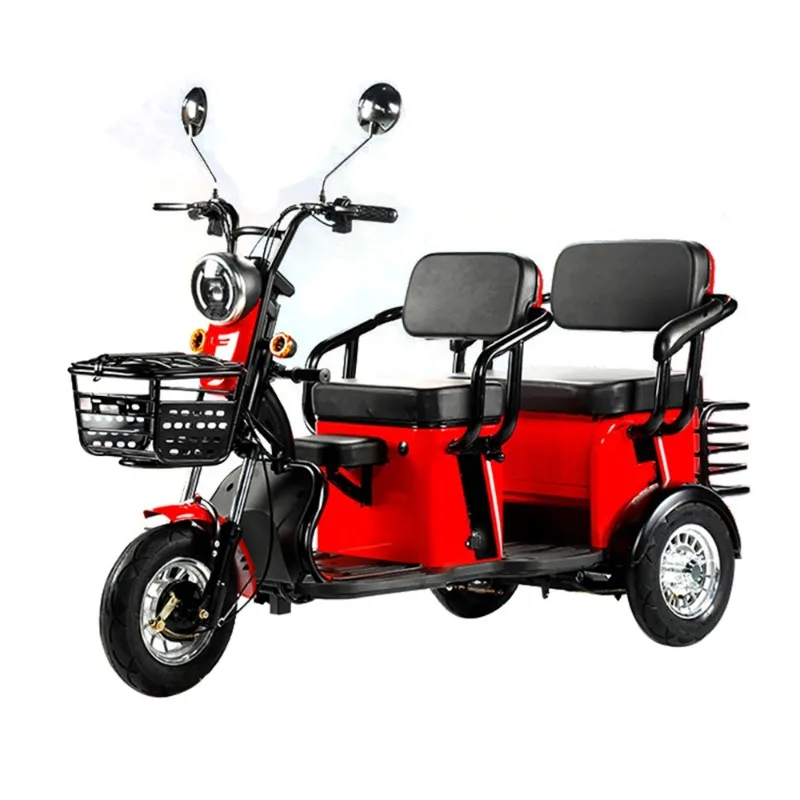 800W 1000W Electric Cargo Tricycle for Adult Tricycle with Custom