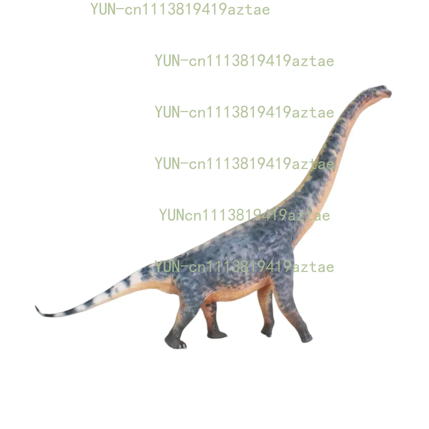 1:35 Scale Brachiosaurus Model Brachiosauridae Dinosaur Animal Scene Decoration Birthday Gift Collection Statue