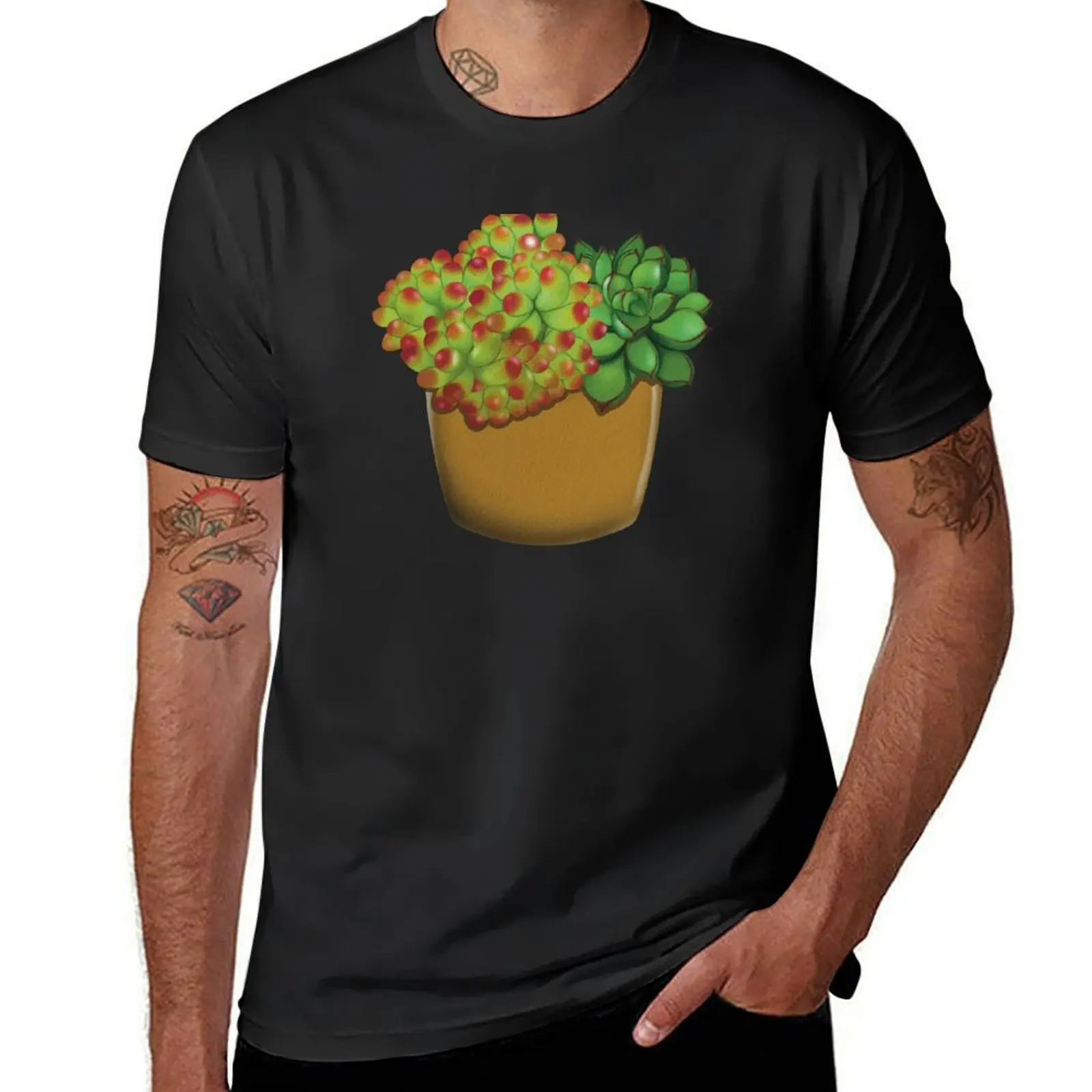 Green succulent in clay pot T-Shirt Blouse summer clothes tees mens workout shirts