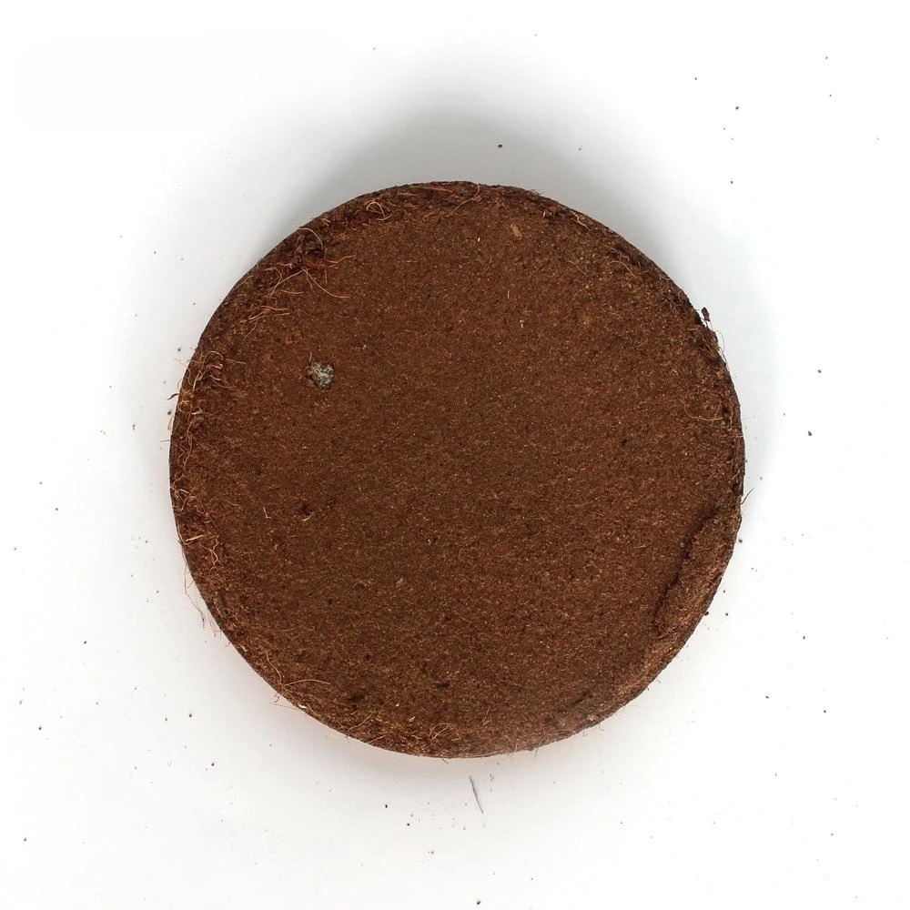 70g Reptile Coconut Soil Simulate Natural Environment Reptile Observation Box Base Bedding Material Coconut Shell Fiber Soil