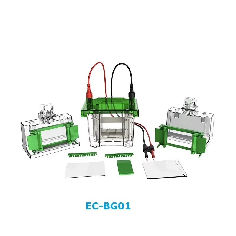 BIOSTELLAR EC-BG01 China-made Laboratory Gel Western Blot and Electrophoresis Tank for Protein Analysis in Labs