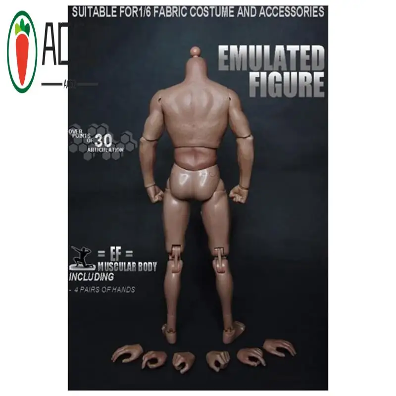 

AC52-Narrow Shoulder Male Body Action Figure Plastic Action Figure For TTM18 TTM19 Hot & Human Body Sketch Model
