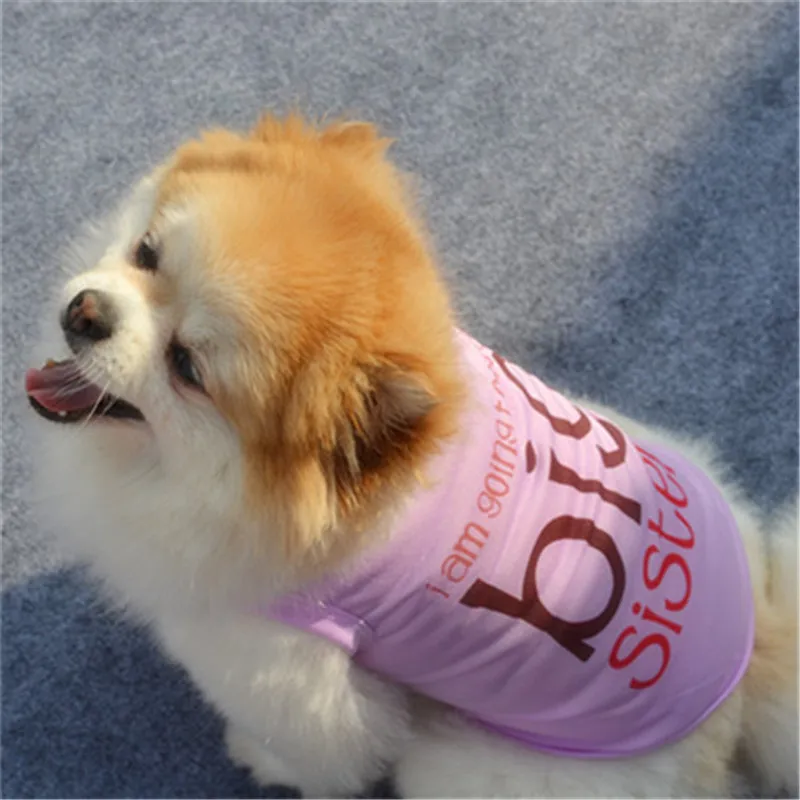 Big Sister Dog Clothes Pet Products Letter Print Puppy Clothing Small Dog Cat Vest Shirt Pet Dogs Costume view 6