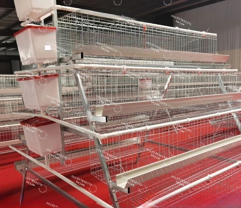 Four-story Four-door Ladder Laying Hen Cage Chicken Farm Hot-dip Galvanized Breeding Cage Stacked מדגרה לביצים خروف
