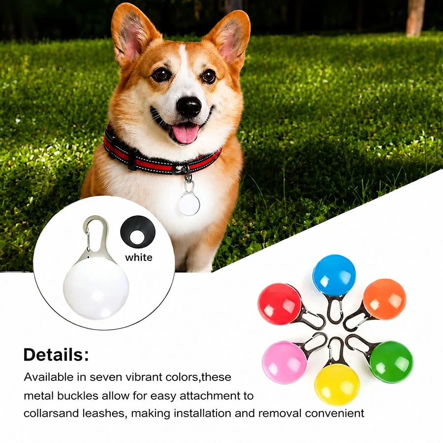 Thumbnail 4 - #2 Best LED Puppy Collars to Buy In 2026