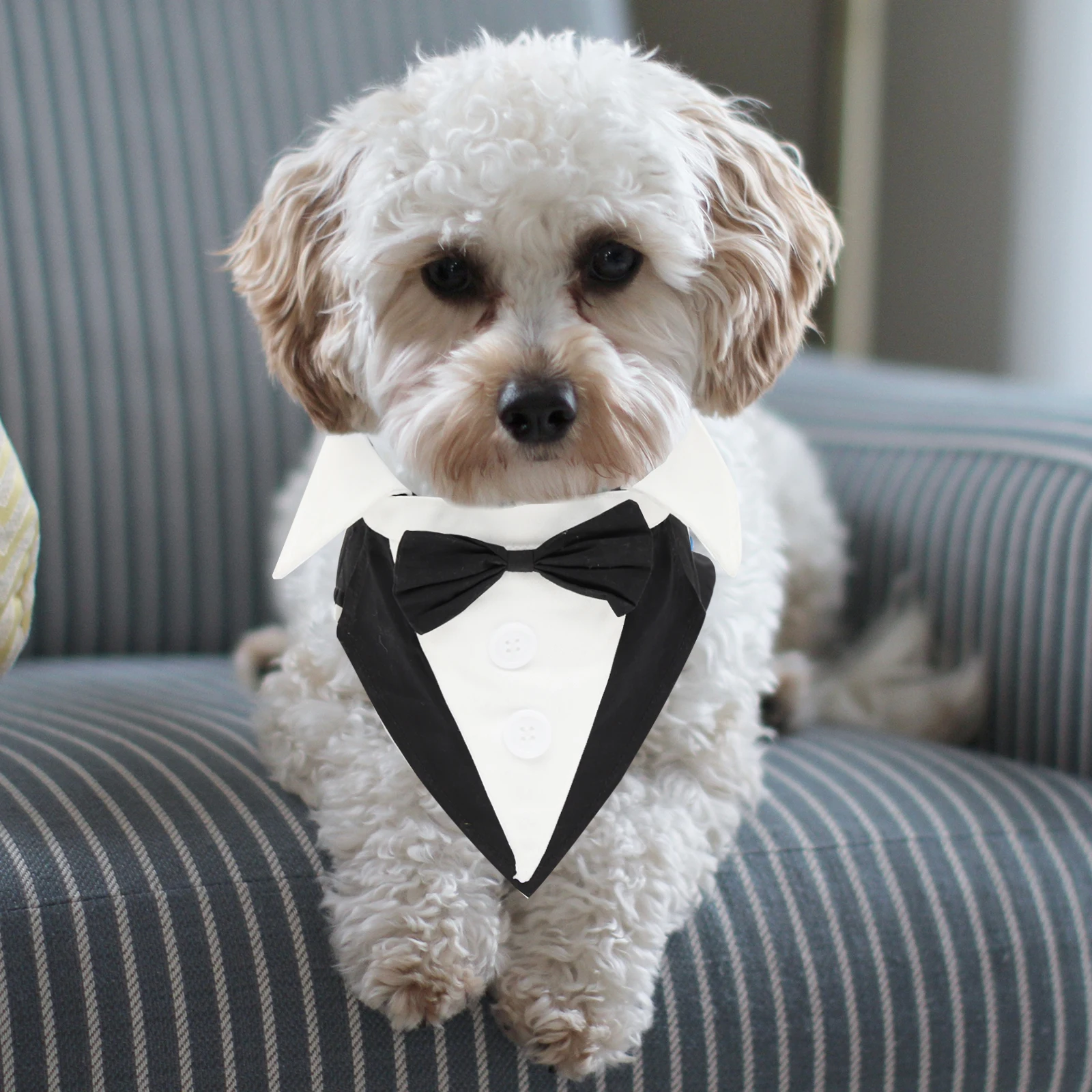 

Dog Formal Tuxedo Durable Vintage Comfortable Wedding Party Pet Clothes Bow Tie Decorative Dog Formal Wear Pet Clothes