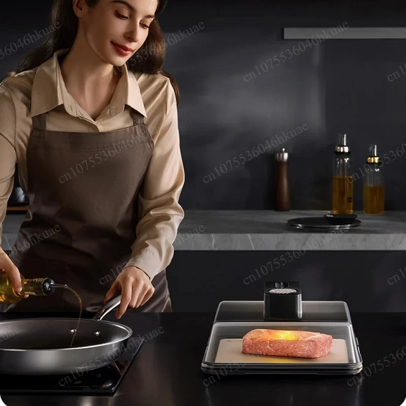 Type-C Charging Defrost Box Fast Thawing Plate for Frozen Meat Beef Seafood