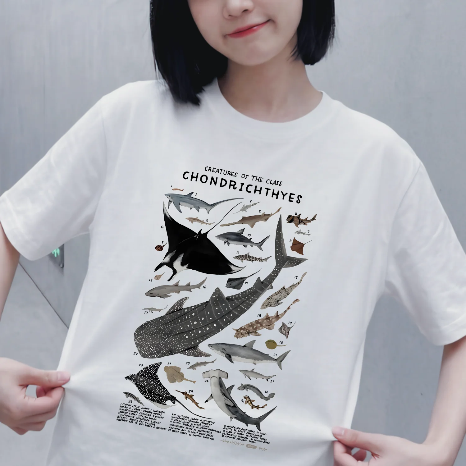 Daily Wear Pure Cotton Short Sleeve round Neck Breathable T-Shirt Marine Animal Print Devil Ray Shark Soft Bone Fish Category