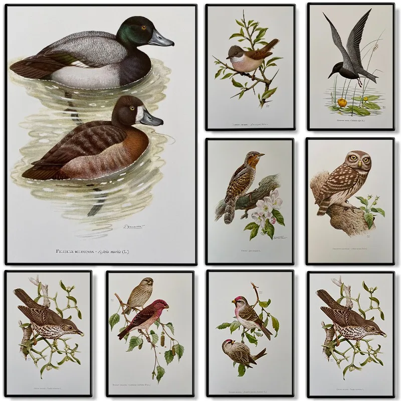 Retro Birds Animals Poster Wildlife Ornithology Illustration Canvas Painting Vintage Antique Wall Art for Living Room Home Decor