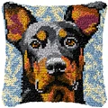 W-BZ2889-43-43