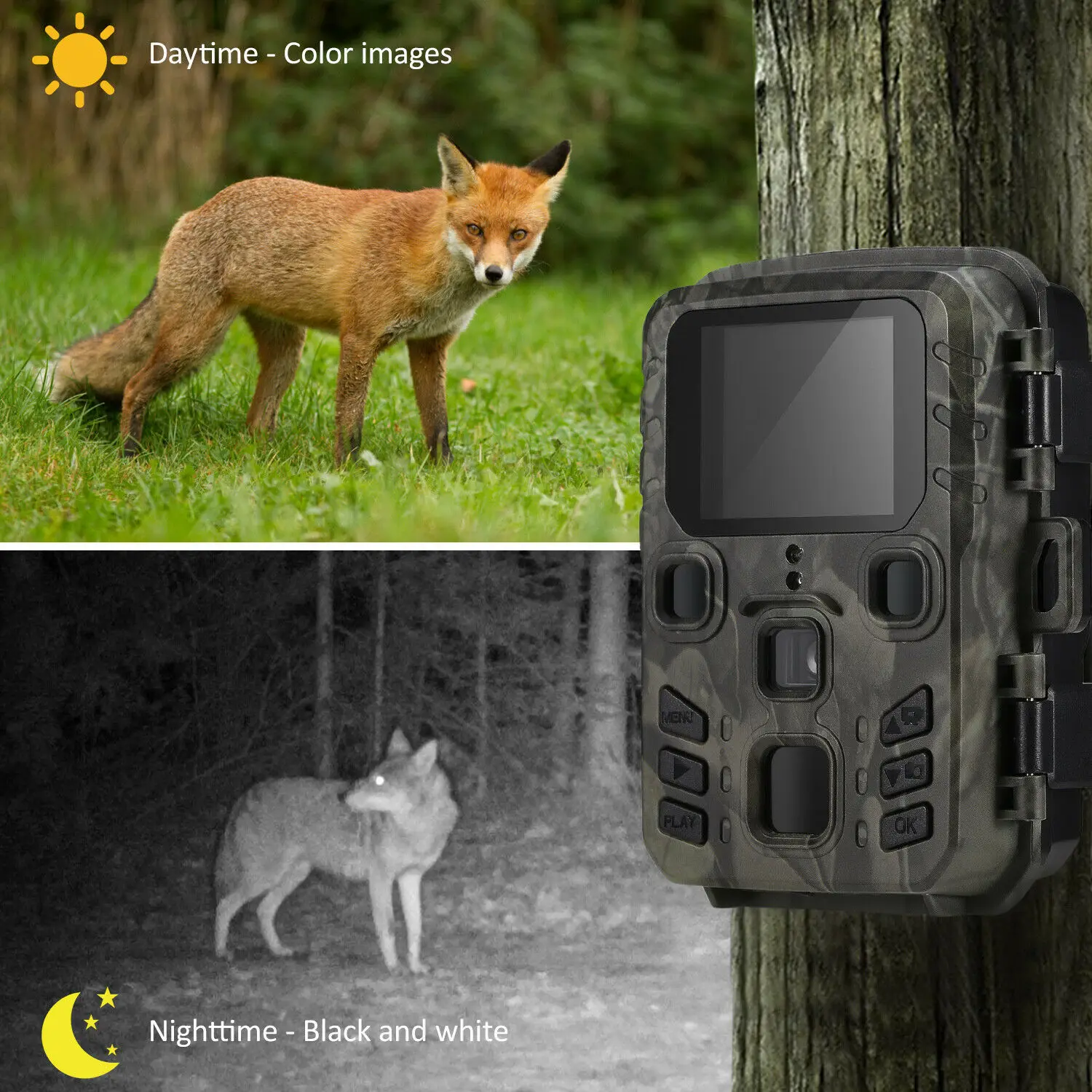 Cámara de rastreo salvaje para caza, videocámara de vigilancia de exploración, visión nocturna, seguimiento de trampas fotográficas, 20MP, 1080P, para exteriores