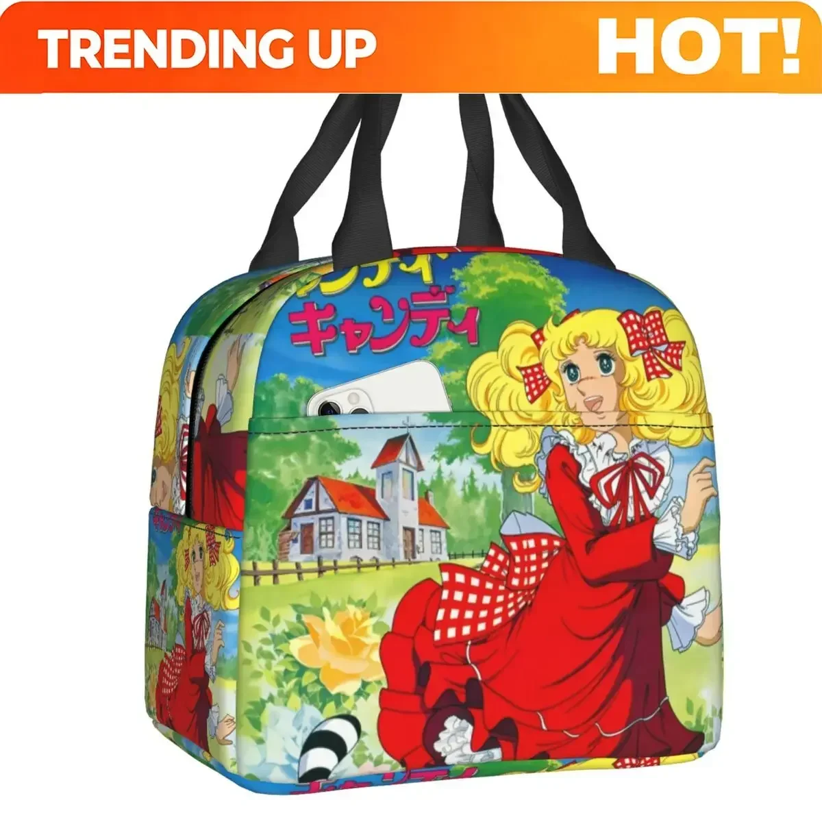 Custom Bag Custom Custom Candy Candy Lunch Bag Men Women Cooler Thermal Insulated Lunch Box For Adult Office