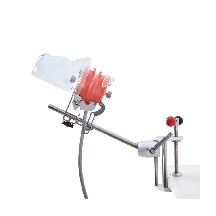 

0000 Of Pre-Clinical Education Teaching Model Head Simulator For Two Students