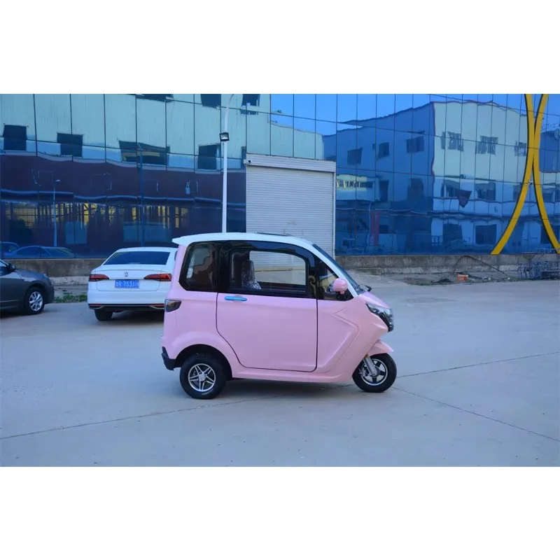 Small Convenient 3-Wheel Pickup Truck 1000W Electric Cargo Tricycle 60V Closed Body for Adults and Food Service