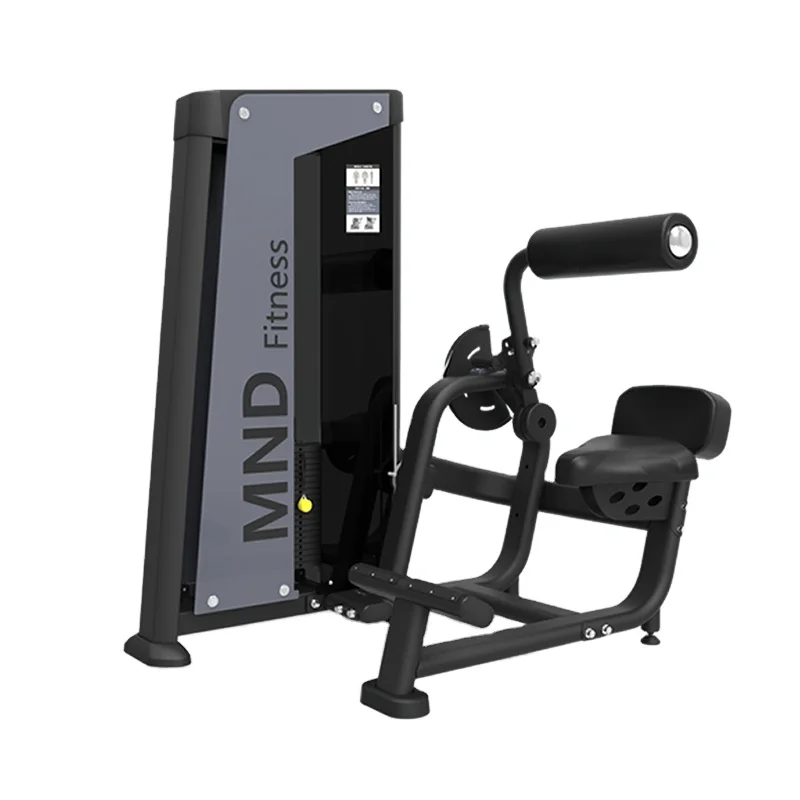 2023 Design Best Price With Top Quality Gym Equipment Back Extension