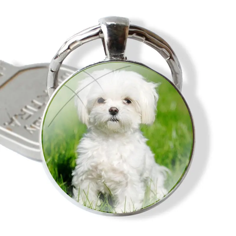 My Maltese Dog 25mm Glass Cabohcon Keychain Key Rings for Women Men Jewelry Gift