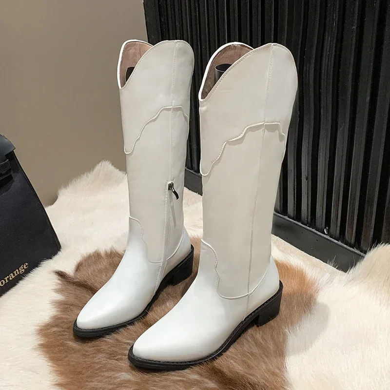 

Brown Long Boots 2023 New Knee-High Square Heel Pointed Toe Platform Women Shoes ZIP British Style Goth Boots Botas De Mujer