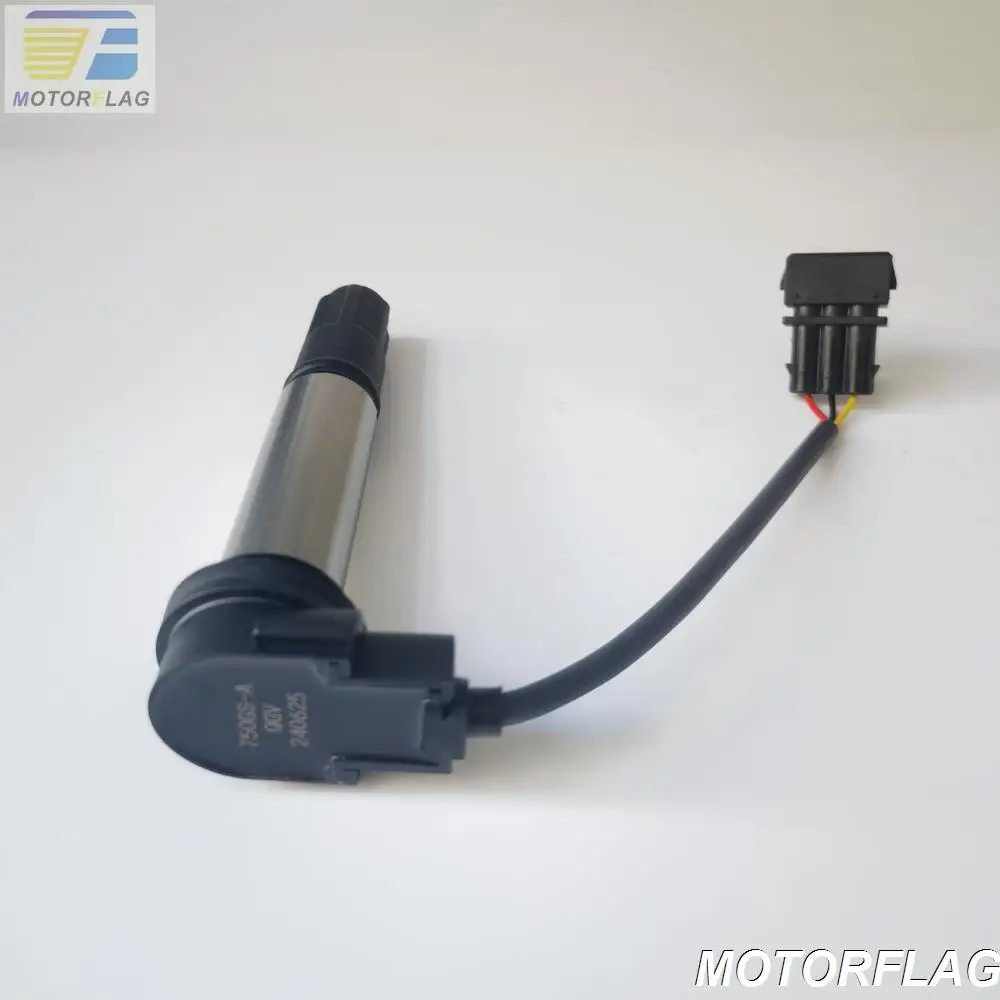 Ignition Coil for Motorcycle BENELLI TNT300 BN302 THV302 TNT600 TNT600i BN600GT TNT249S / Keeway RKX300 RK6 600 / STELS 300 600