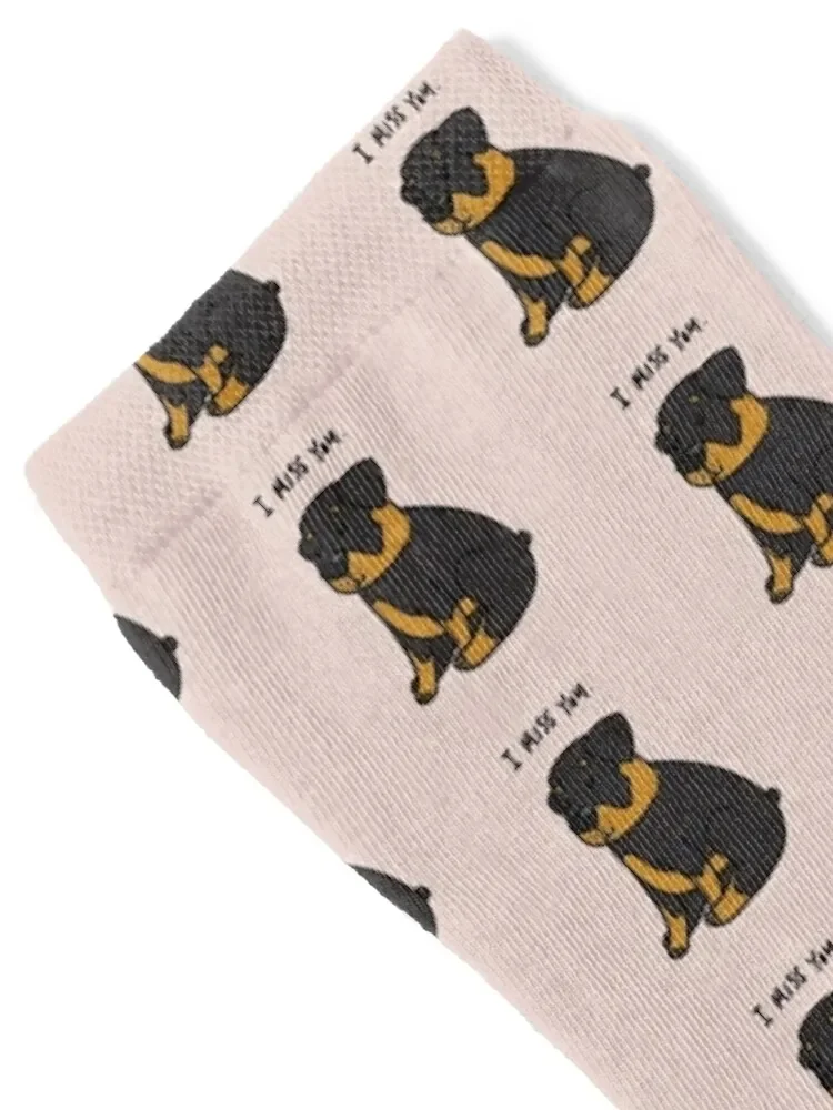 Missing you Rottie-calcetines de diseñador para hombre y mujer, medias para gimnasio