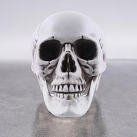 Life Size Human Skull Model Halloween Decor Skeleton Skull Realistic Human Adult Skull Head Bone Model Graveyard Outdoor Decor