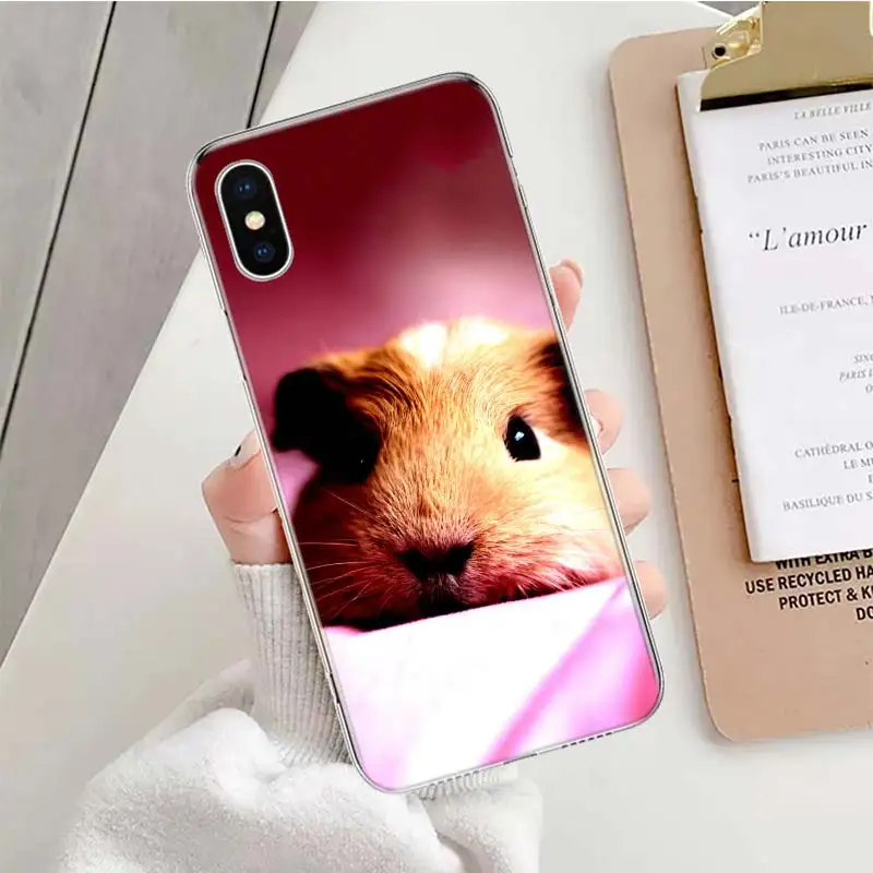 Guinea Pig Cute Animal Pet Blue Soft Phone Case For IPhone 11 13 16 Pro MAX 15 + 14 Plus 12 Mini X XS Apple 8 7 SE Fundas Coque 