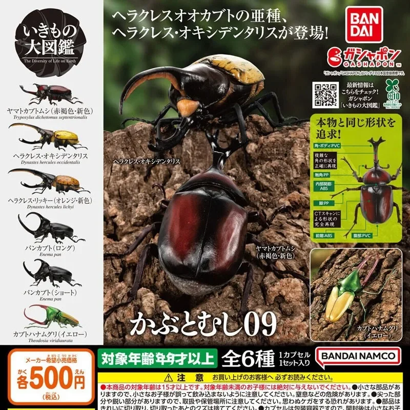 Bandai Genuine Biological Encyclopedia Gachapon Toys Beetle Series 09 Capsule Toys Simulated Insects Model Decoration Gifts