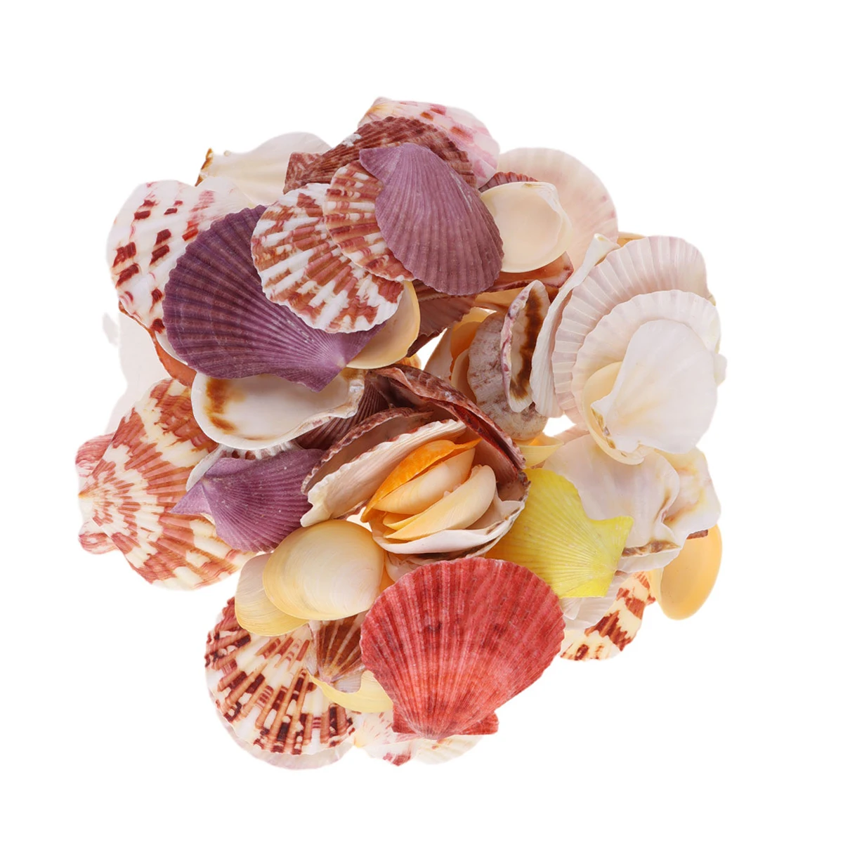

Shell Decorations Natural Sea Style Conch Ornament Fish Tank Aquarium Landscape Accessories Safe Pet Supplies