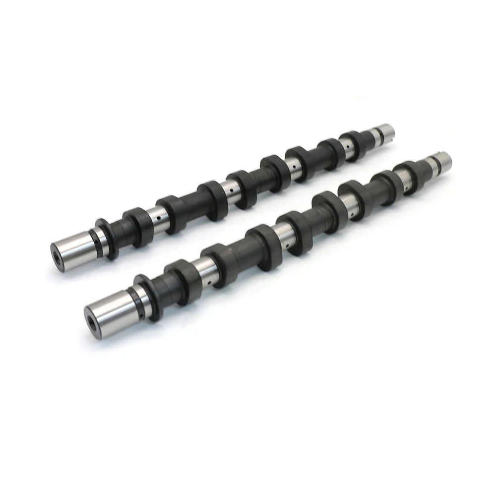 

LEYImotors High Quality Auto Parts Camshaft for Renault K4m Intake and Exhaust OE 8200100527 8200100528