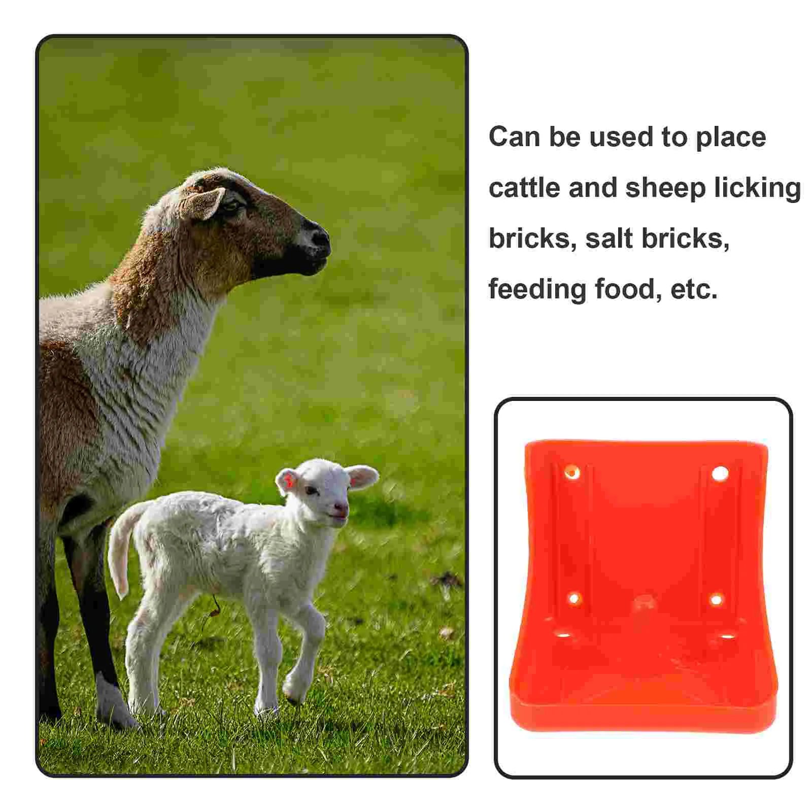 Lick Brick Box Table Salt Feeding Bowl Rack for Cow Sheep Accessory Nutrition Pan Professional Feeder Horse Licking Farm