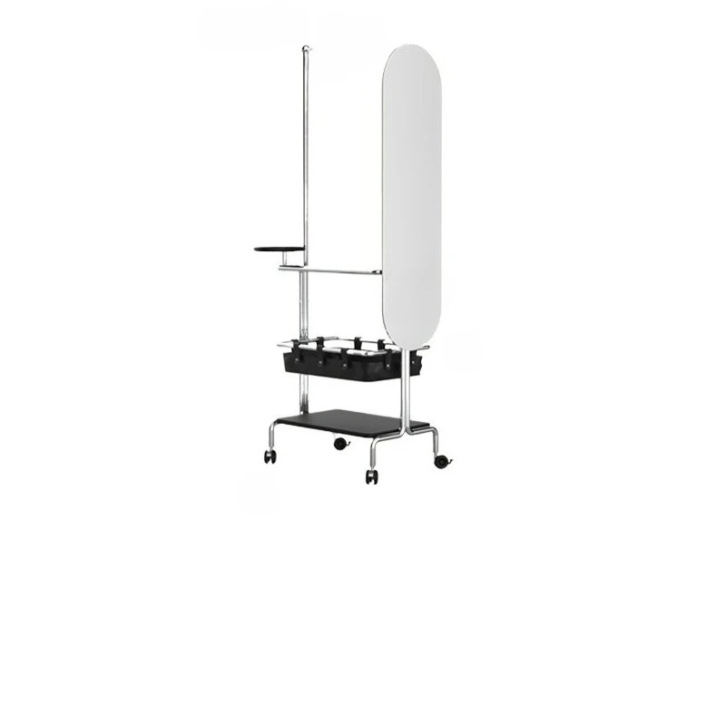 

Accompanying hanger with wheels movable, floor-to-ceiling multi-functional storage hanger
