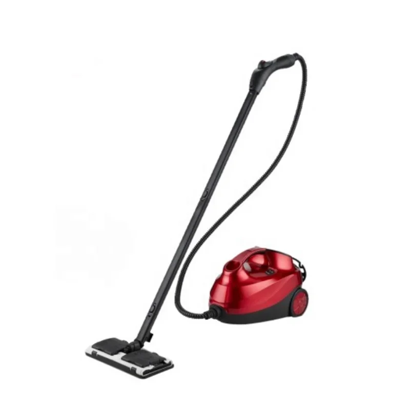 Oem Hot Sale Car Steam Cleaner Professional Steam Washing Machine For Auto Steam Sterilization