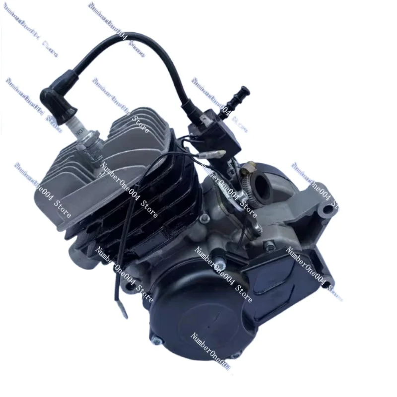 

39CC-50CC 2-Stroke Air-Cooled Aluminum Cylinder Engine For Kart & Off-Road Motorcycle