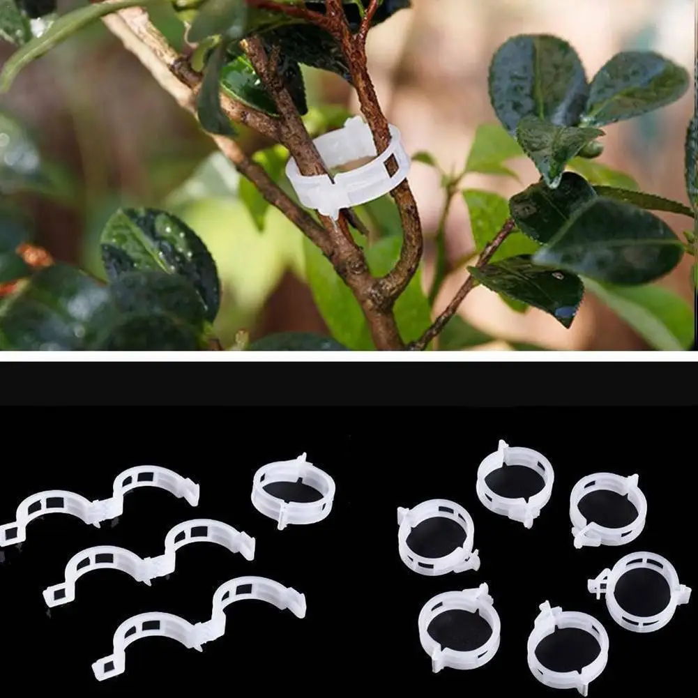 10/20/50pc Plant Support Clip Reusable Fixing Plant Vine,controlling Plant Growth Trend Tool For Tomato,cucumber Garden Supplies