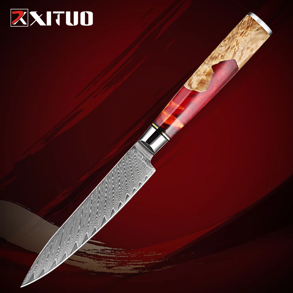 Paring Knife 5 Inch,Small Kitchen Knife VG10 Damascus Steel Utility Fruit Knife Perfect for Cutting Fruit and Peeling Knife