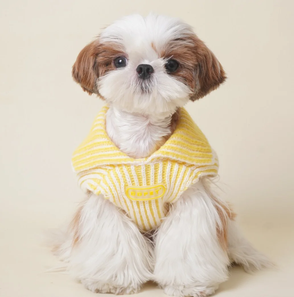 Soft Cotton Sweater for Pets, Small Dog Clothing, Cute French Fries Printed, High Quality Design Jacket for Cats and Animals