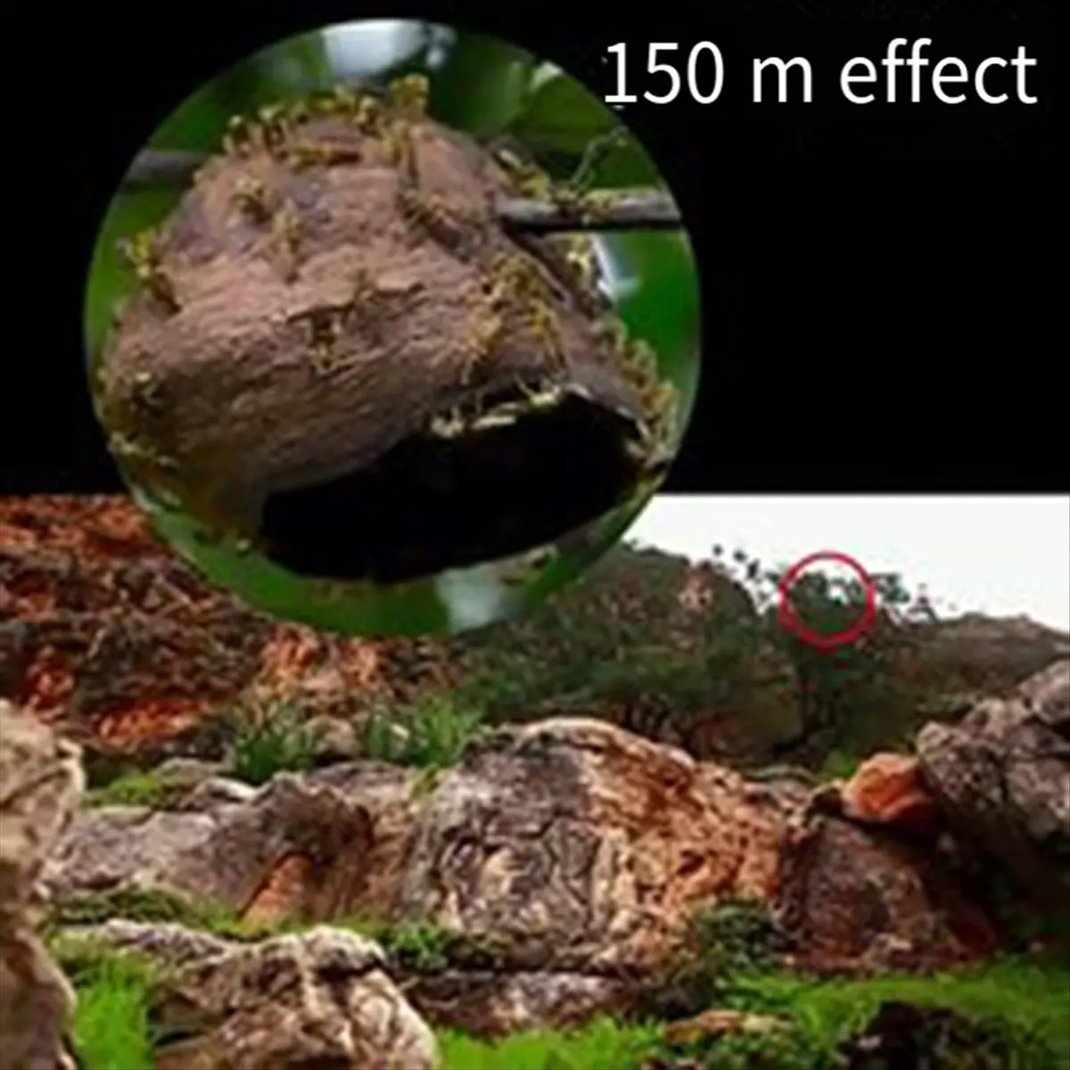 *X07A Binoculars 30-260x160 Hight Definition Waterproof Military Telescope for Bird Watching Hiking Sport