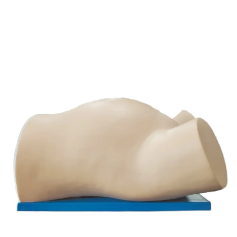 Model Pengajaran Keterampilan Pengiriman Obstetri Model Maneuver Leopold DARHMMY