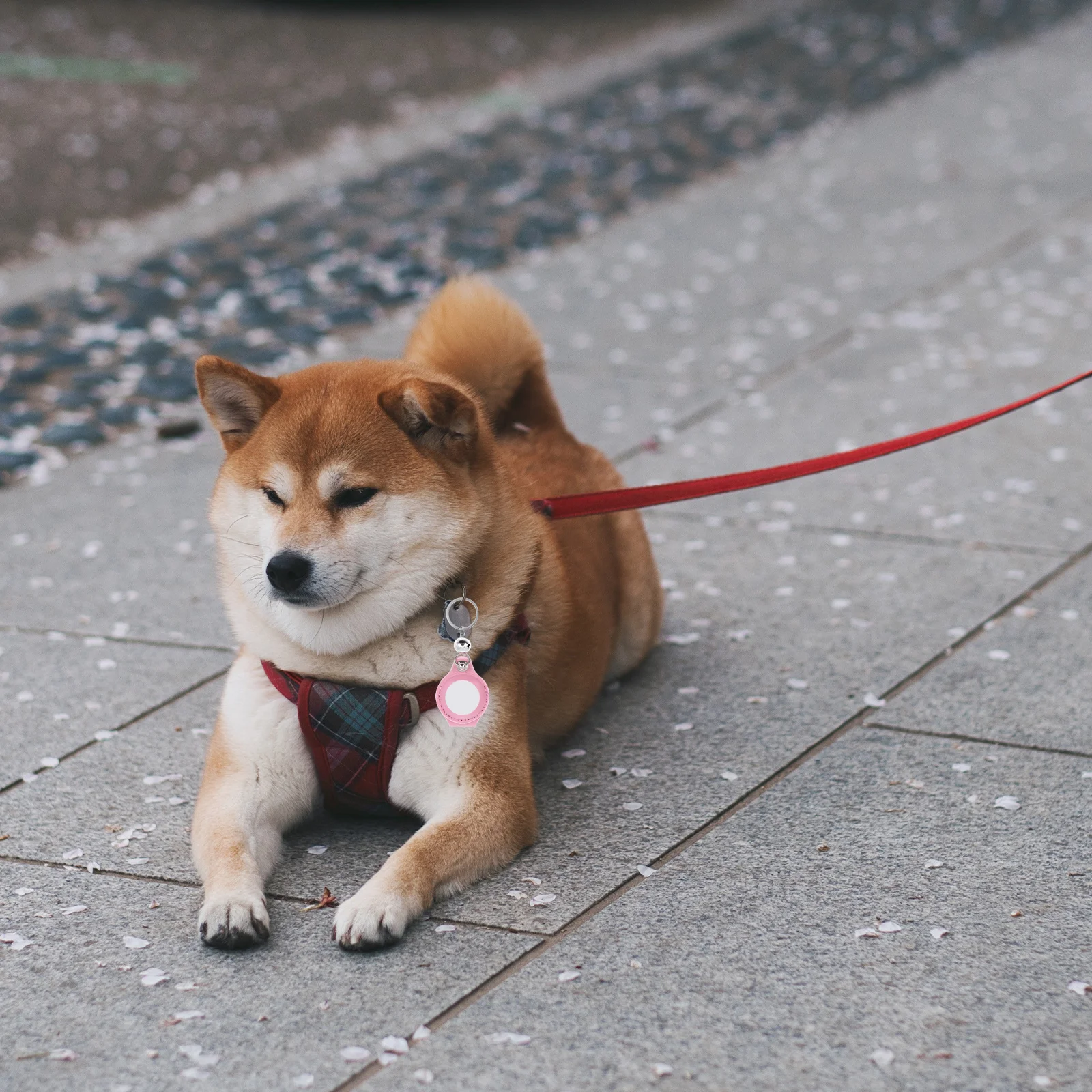 

Stylish Pet Tracer Protective Case Durable and Popular Anti-Wear Cover for Small Items in Daily Life Cover