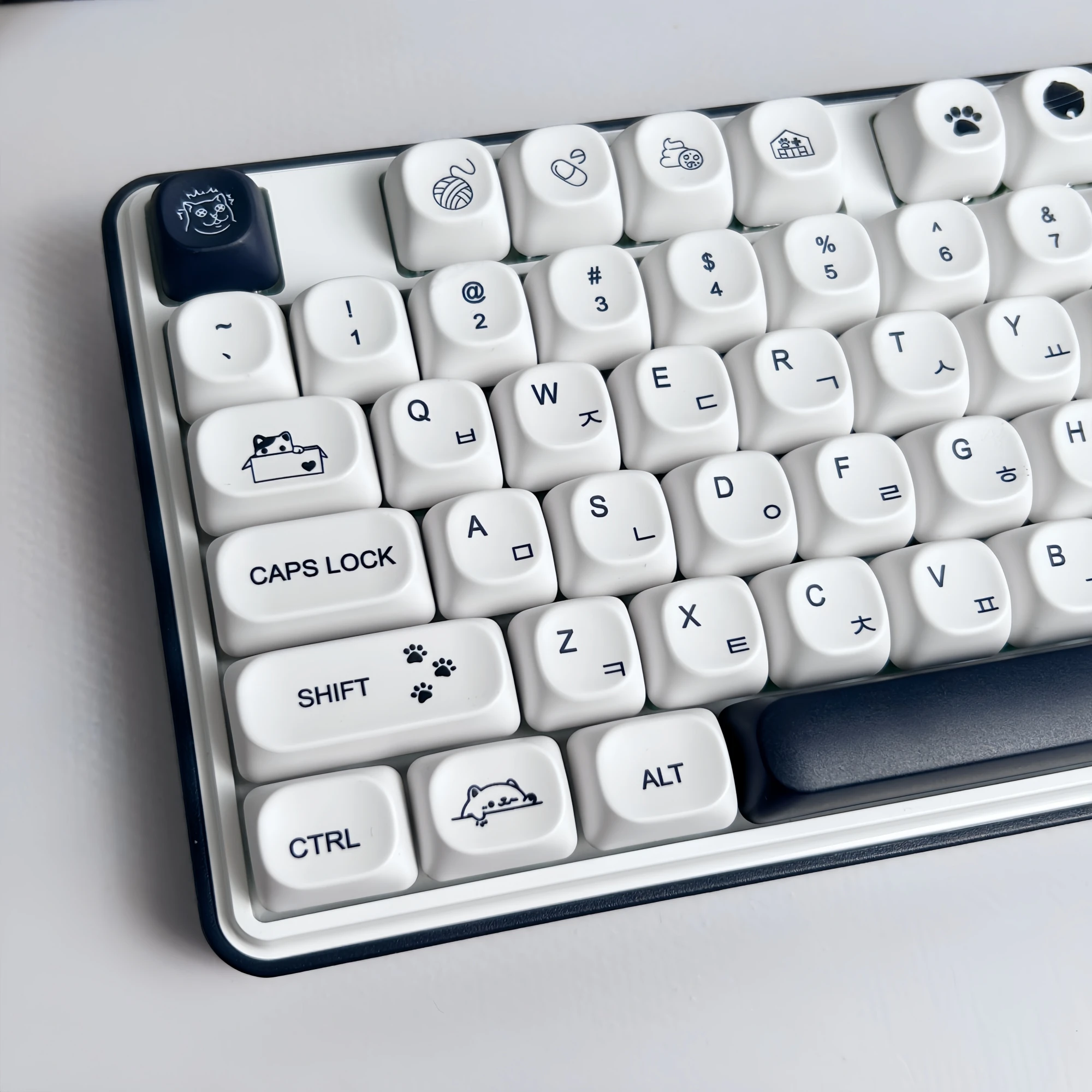 Strange Cat Cute Keycap English/Russian/Korean PBT MOA Minimalist Black and White Keycaps Lovely Kitten Mechanical Keyboard Caps