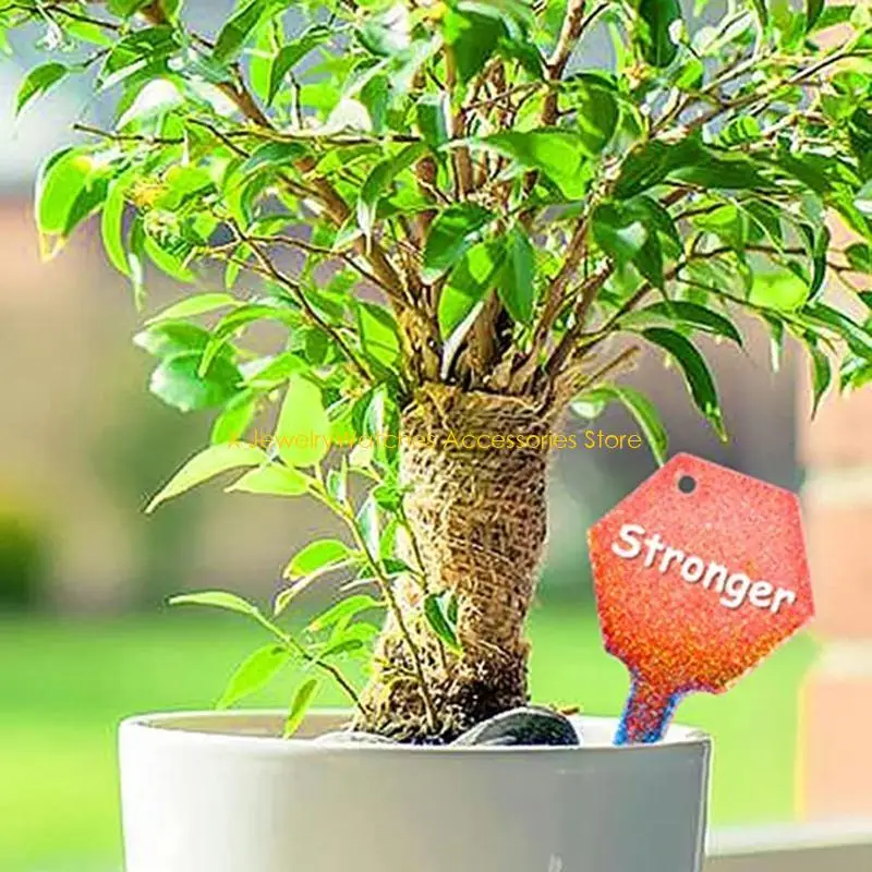 

31KD Various Shaped Plant Label Moulds for Potted Plants Durable Silicone Material Moulds Suitable for Indoor and Outdoor Use