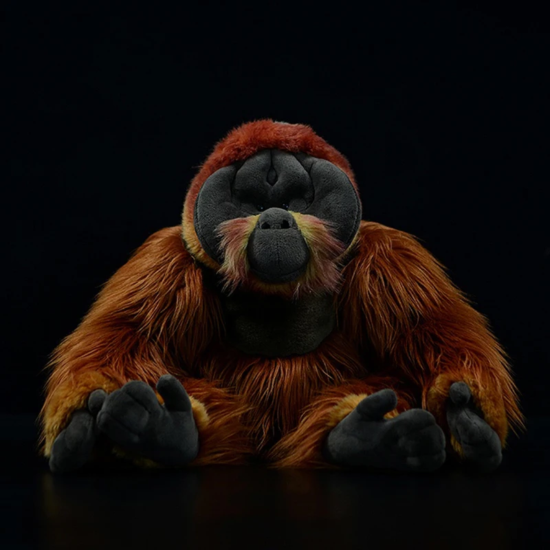 Simulazione carina Orangutan giocattoli di peluche farciti animali morbidi bambole vita reale Pongo bambini regalo per adulti primati collezione di modelli