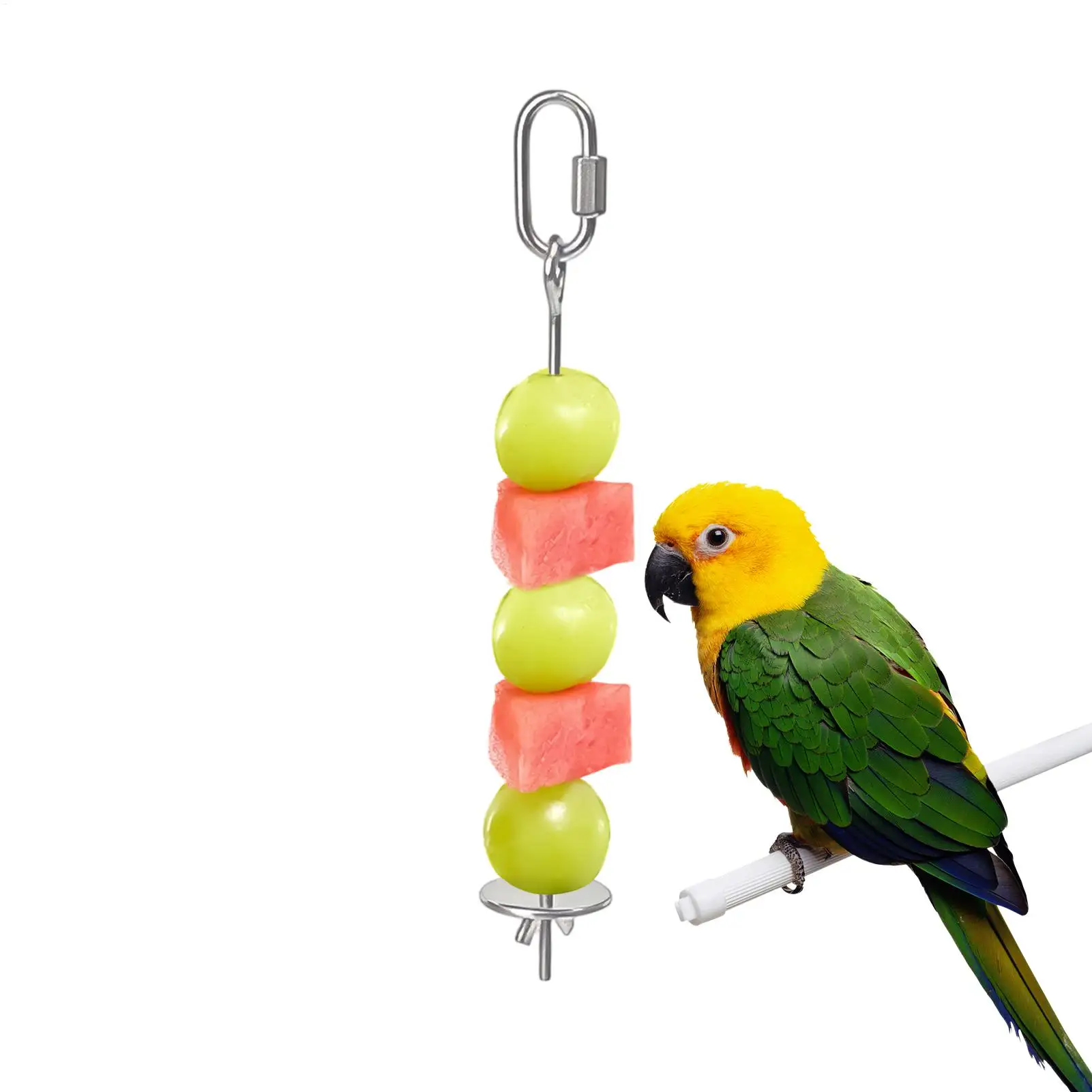 Stainless Steel Bird Foraging Skewer, Fruit Vegetable Holder for Parrots Parakeets, Enriches Diet & Encourages Natural Behavior