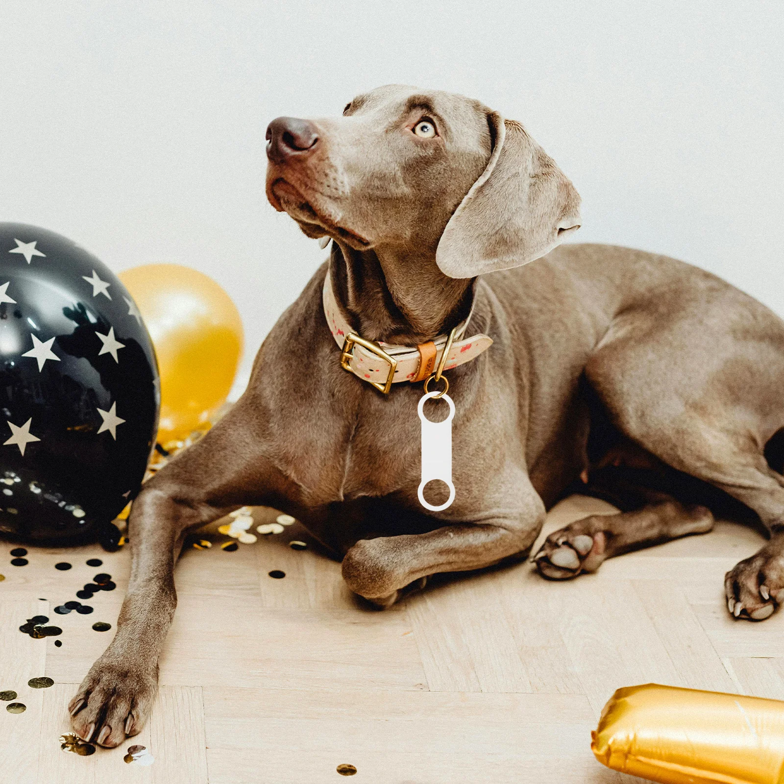 

6Pcs Silicone Dog Collar Id Tags Replacement Elastic Bands Slide on Silent Noiseless Pet Id Tags Holder for Dogs Cats