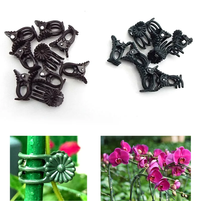 20/50pcs Plant Support holder Clips for Orchid Vine Support Vegetables Flower Tied Bundle Branch Clamping Garden Tool T1
