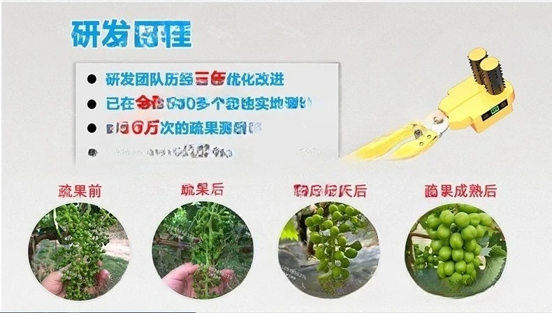 Electric Grape Flower Thinner Machine for Sunshine Rose Bud Berry Trimming Tool